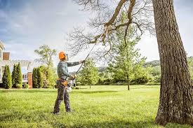 Fortville, IN Tree Care Company